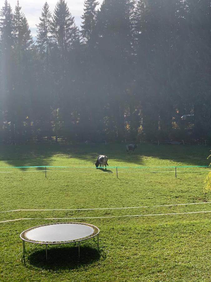Birkenhof Daire Leutasch Dış mekan fotoğraf